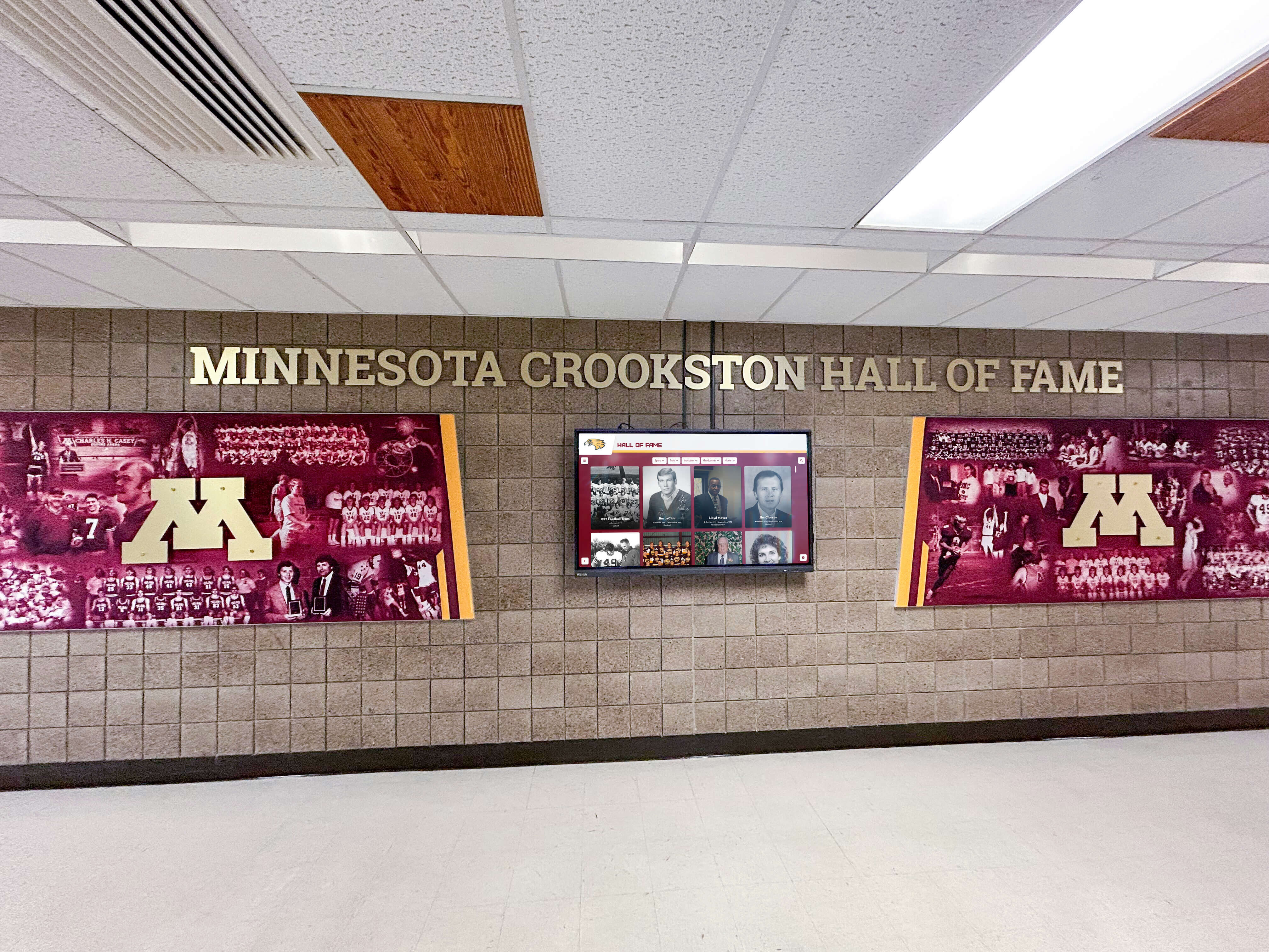 Comprehensive recognition display
